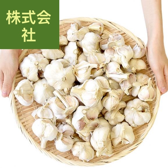 香川県から産地直送 香川県 訳ありニンニク 不揃い割れ品 約2キロ 送料無料 香川にんにく 大蒜 葫