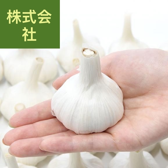 香川県から産地直送 香川県 ニンニク 秀品 約1キロ (目安として27玉前後) 送料無料  香川にんにく 大蒜 葫 讃岐 さぬき