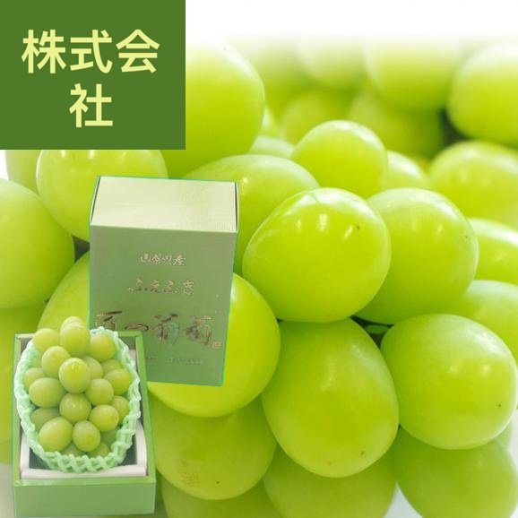 山梨県から産地発送 ふえふき 高級ハウス栽培シャインマスカット 秀品 1房 500g化粧箱入り ぶどう 葡萄