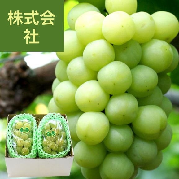 全農おかやま協賛 岡山県産 瀬戸ジャイアンツ 青秀2房合計1.2キロ(600g×2房）送料無料
