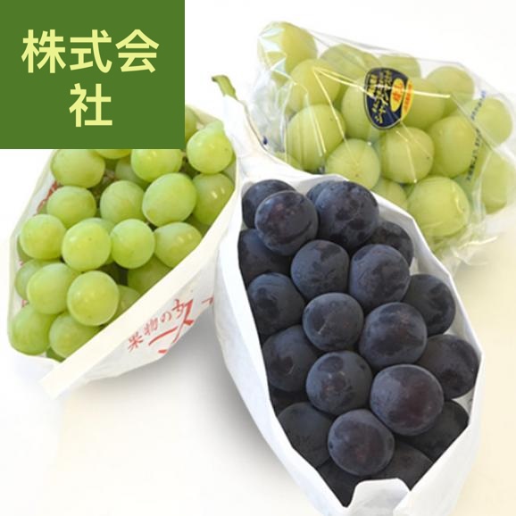 敬老の日に最適　全農おかやま協賛 岡山県産 高級ぶどう3種セット（シャインマスカット＆アレキサンドリア＆ニューピオーネ 合計3房）(500gから600g×3房）送料無料