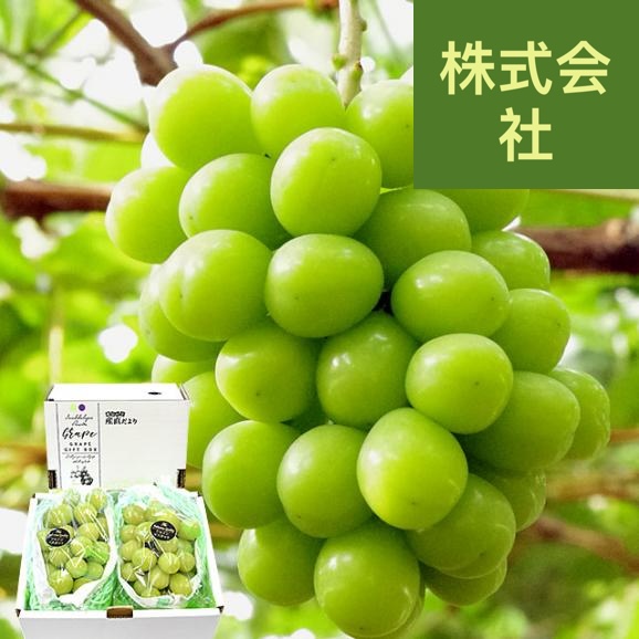 山梨県産　ふえふき 大型シャインマスカット約1.2キロ（2房）送料無料 ぶどう ブドウ 種なしぶどう  クール便発送