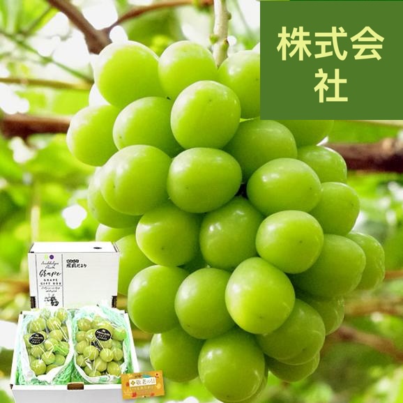 【遅れてごめんね敬老の日ギフト】山梨県産 ふえふき 大型シャインマスカット 合計約1.2キロ（2房）送料無料 ぶどう ブドウ 種なしぶどう クール便発送