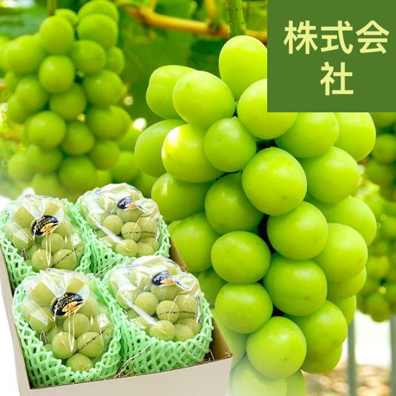 岡山県産　晴れの国岡山　びほくぶどう生産部会　シャインマスカット 晴王（はれおう）2キロ（3房から4房）優品　自家用　送料無料 ぶどう 種なし黒ぶどう