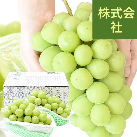 山形県産 超特大シャインマスカット 約1.6キロ(2房) 送料無料 ぶどう 葡萄 ブドウ マスカット 白ぶどう