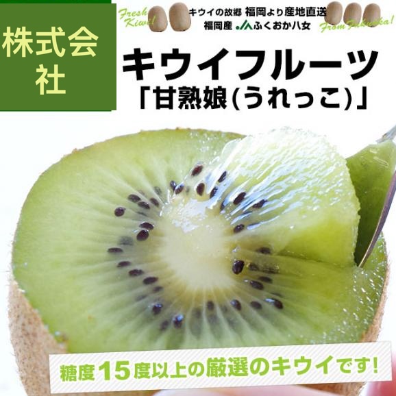 福岡県より産地直送 ふくおか八女 キウイフルーツ 甘熟娘（うれっこ） 超大玉 ３L 約3.6キロ（24玉） 送料無料 きうい