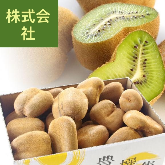 香川県より産地直送 香川県 キウイフルーツ 香緑(こうりょく) 　訳あり品　約3キロ　(15から30玉前後) 送料無料
