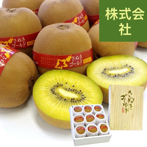 香川県より産地直送 香川県 キウイフルーツ さぬきゴールド 秀品 1.3キロ化粧箱（7玉から9玉）送料無料