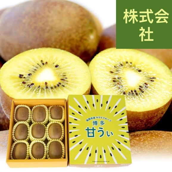 福岡県から産地直送 全農ふくれん 福岡オリジナルキウイ 甘うぃ（あまうぃ）秀品 1.4キロ以上　化粧箱（４Lサイズ9玉から10玉入り）送料無料 キウイフルーツ