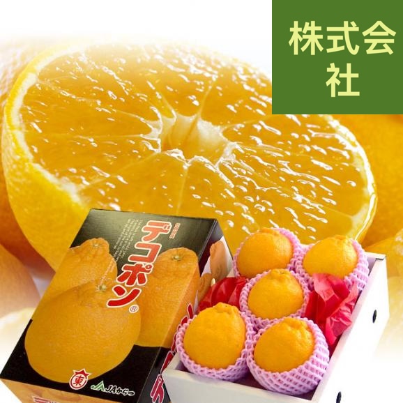 佐賀県産からつ デコポン 1.2キロ化粧箱（5玉から6玉入り） 送料無料 産直だより 唐津 でこぽん 柑橘 みかん オレンジ