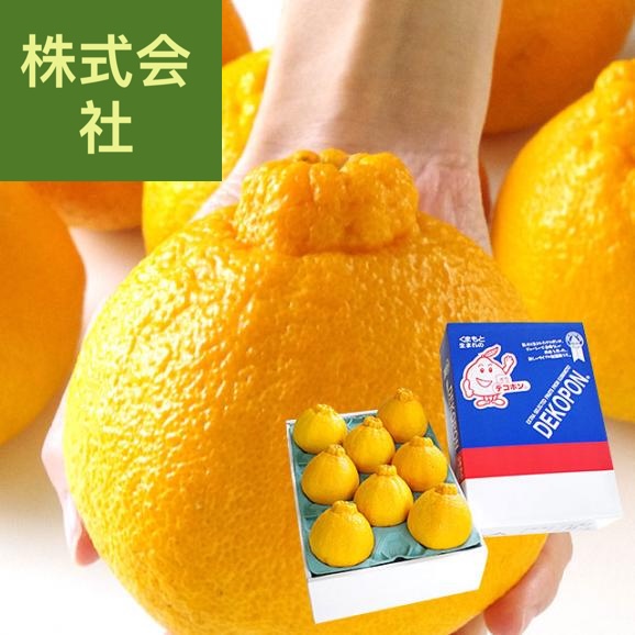 熊本県より産地直送 あしきた ハウス栽培 大玉デコポン （優品） 3キロ（7玉から8玉） 送料無料 でこぽん デコぽん 芦北 葦北