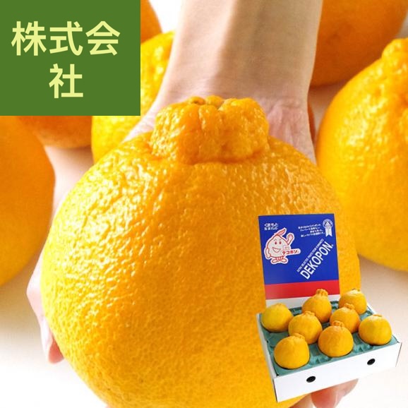 熊本県より産地直送 あしきた ハウス栽培 大玉デコポン （良品） 3キロ（7玉から8玉） 送料無料 でこぽん デコぽん 芦北 葦北
