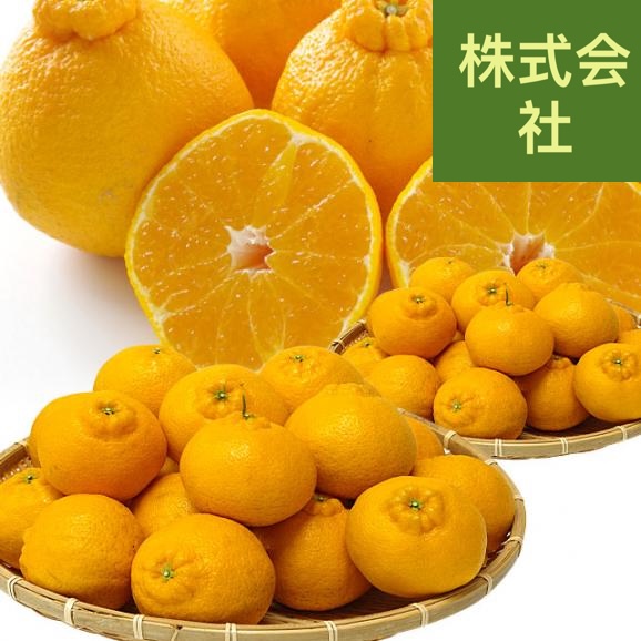 愛媛県より産地直送 にしうわ しらぬひ 小玉 Mサイズ 5キロ (28玉前後) 送料無料 柑橘 オレンジ 不知火 しらぬい 西宇和 八幡浜