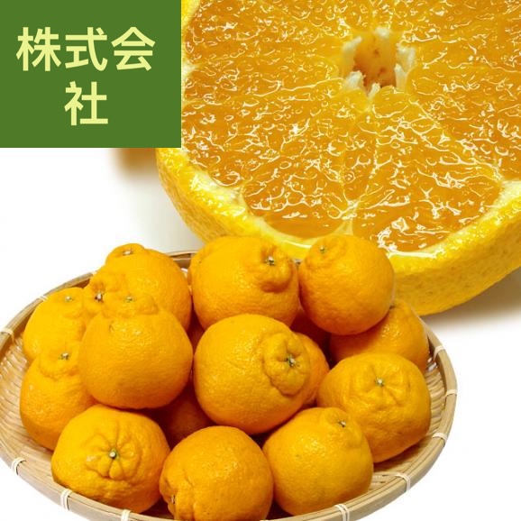熊本県から産地直送 あまくさ デコポン 2L 5キロ (20玉) でこぽん しらぬひ 不知火 天草 送料無料
