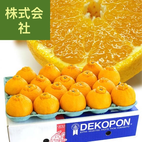 熊本県から産地直送 あまくさ デコポン３L 5キロ (18玉) でこぽん しらぬひ 不知火 天草 送料無料