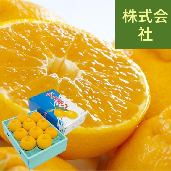 佐賀県産からつ デコポン 3.5キロ化粧箱（8玉から12玉入り） 産直だより 唐津 でこぽん 送料無料 柑橘 みかん オレンジ