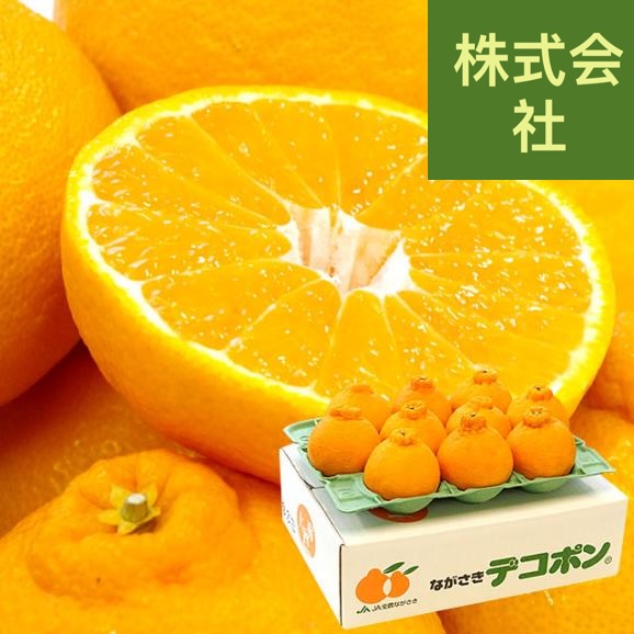 長崎県より産地直送 長崎せいひ デコポン 優品  4ＬからＬサイズ 3キロ (8玉から15玉) 送料無料 柑橘 かんきつ