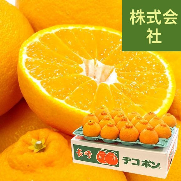 長崎県より産地直送 長崎せいひ デコポン 優品  4ＬからＬサイズ 5キロ (12玉から24玉) 送料無料 柑橘 かんきつ