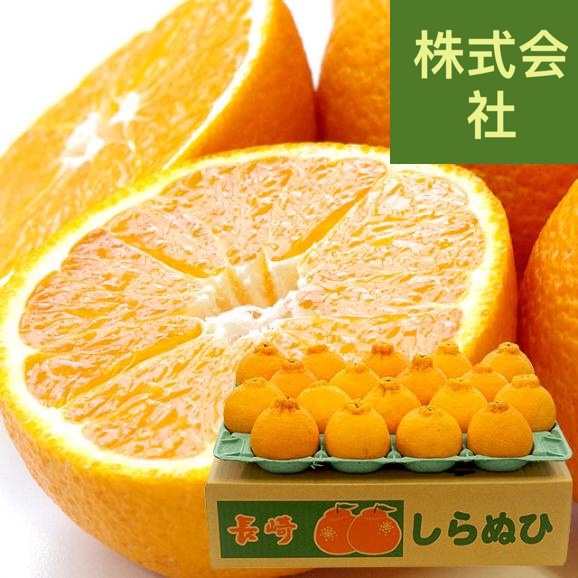 長崎県より産地直送 長崎せいひ 不知火 (しらぬひ) 優品 4ＬからＬサイズ 5キロ (15玉から24玉) 送料無料 柑橘 かんきつ