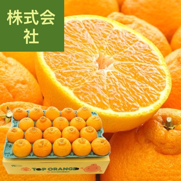 熊本県産 田の浦柑橘組合 トップオレンジ 不知火(しらぬひ) 3LからLサイズ 5キロ (18玉から24玉) 送料無料 しらぬい 柑橘 オレンジ 市場スポット