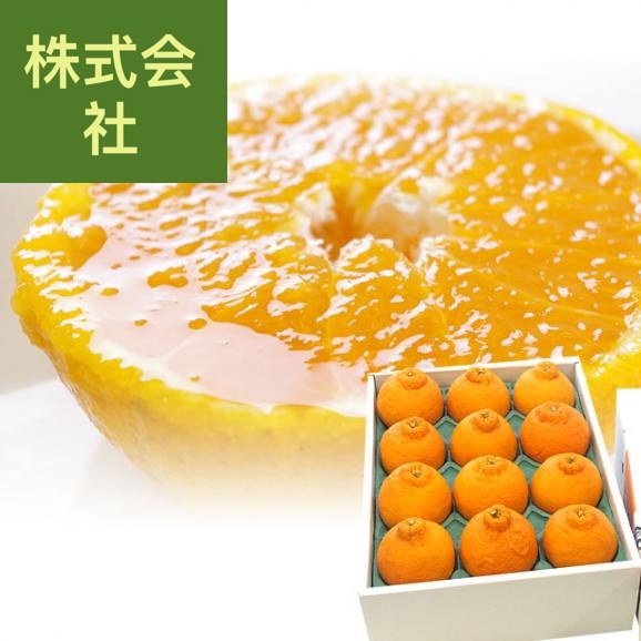にしうわ デコポン 秀品 4Lから2Lサイズ 3キロ（8玉から12玉前後）でこぽん 柑橘 オレンジ 西宇和 八幡浜 市場発送