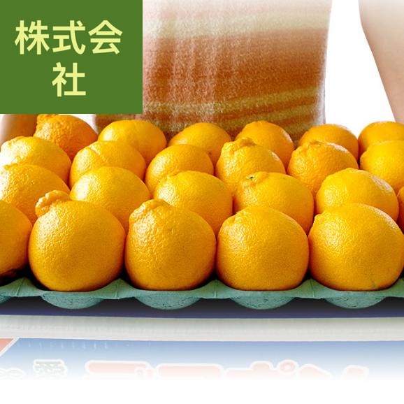 愛媛県 にしうわ 貯蔵デコポン  3LからLサイズ 5キロ（18玉から24玉前後）送料無料 でこぽん 柑橘 オレンジ 西宇和