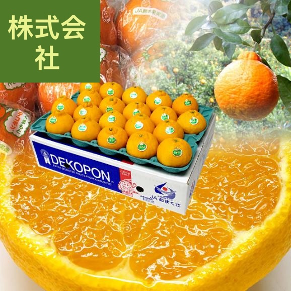 送料無料　熊本県から産地直送　あまくさ　貯蔵デコポン　2LからL　5キロ（20玉から24玉） Pプラス鮮度保持袋入り