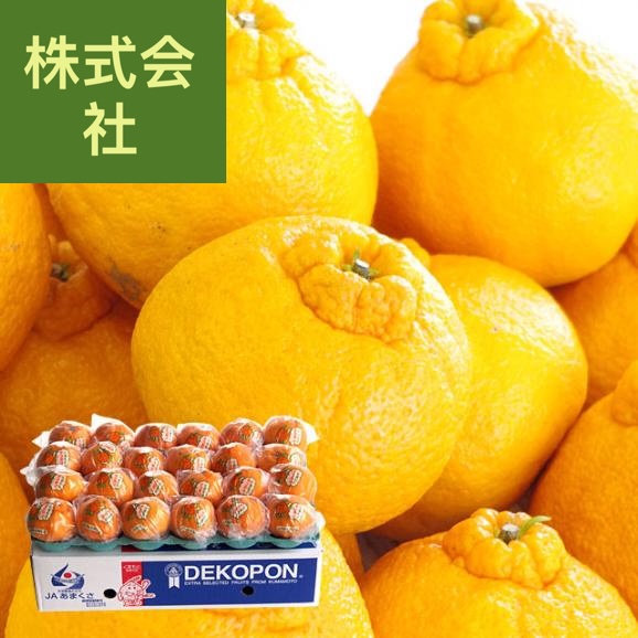 送料無料　熊本県産　熊本果実連　貯蔵デコポン　2LからL　5キロ（20玉から24玉） Pプラス鮮度保持袋入り　市場スポット