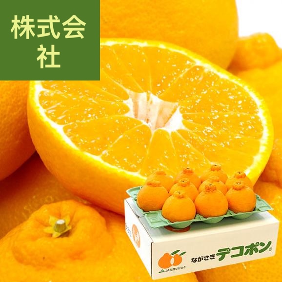 長崎県より産地直送 長崎せいひ ハウス栽培デコポン 優品  ５Ｌから２Ｌサイズ 3キロ (6玉から12玉) 送料無料  柑橘 かんきつ 2月発送商品
