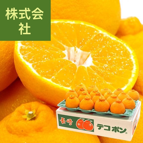 長崎県より産地直送 長崎せいひ ハウス栽培デコポン 優品  ５Ｌから２Ｌサイズ 5キロ (12玉から20玉) 送料無料  柑橘 かんきつ 2月発送商品