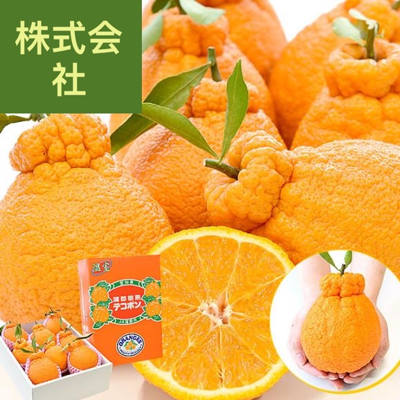 愛知県産 蒲郡市 ハウス栽培 樹熟デコポン 青秀以上 大玉 4Lから2L 約3キロ (8玉から12玉) 送料無料 でこぽん 柑橘 オレンジ 市場発送