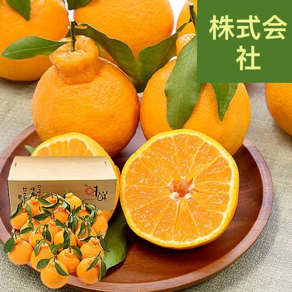 熊本県味咲グループ　樹上完熟・葉付き「肥の豊（ひのゆたか）」赤秀品 2Lから3Lサイズ 約5キロ（18玉から20玉前後）不知火 しらぬひ 柑橘 市場発送