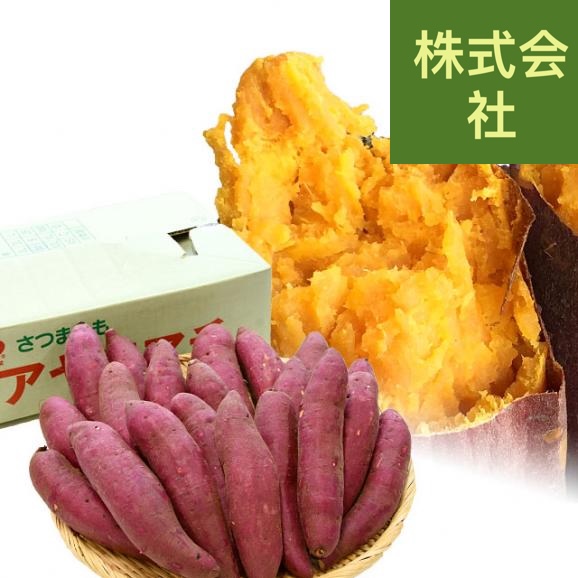 千葉県産　かとり　アヤコマチ　Mサイズ5キロ　20本前後　送料無料　さつまいも　サツマイモ　薩摩芋　にんじん芋　オレンジ芋　野菜　市場発送