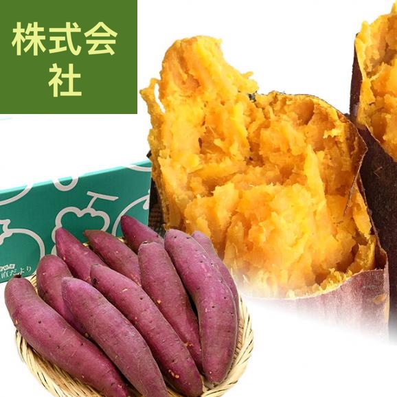 千葉県産　かとり　アヤコマチ　Mサイズ2.5キロ　10本前後　送料無料　さつまいも　サツマイモ　薩摩芋　にんじん芋　オレンジ芋　野菜　市場発送
