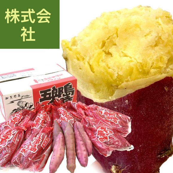 石川県産 金沢市 五郎島金時 秀品 Sから2Sサイズ 約5キロ 30本から40本入り 送料無料 さつまいも サツマイモ 薩摩芋 新芋 市場発送