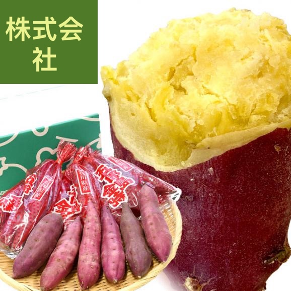 石川県産 金沢市 五郎島金時 秀品 Sから2Sサイズ 約2.5キロ 15本から20本入り 送料無料 さつまいも サツマイモ 薩摩芋 新芋 市場発送
