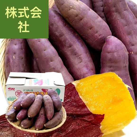 千葉県産 かとり 紅はるか Lサイズ 約5キロ 13本前後 送料無料 さつまいも サツマイモ 薩摩芋 新芋 市場発送