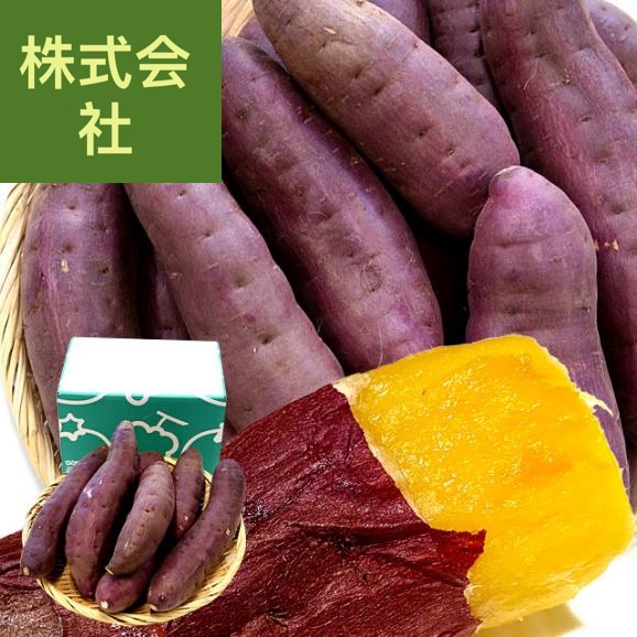 千葉県産 かとり 紅はるか Lサイズ 約2.5キロ 7本前後 送料無料 さつまいも サツマイモ 薩摩芋 新芋 市場発送