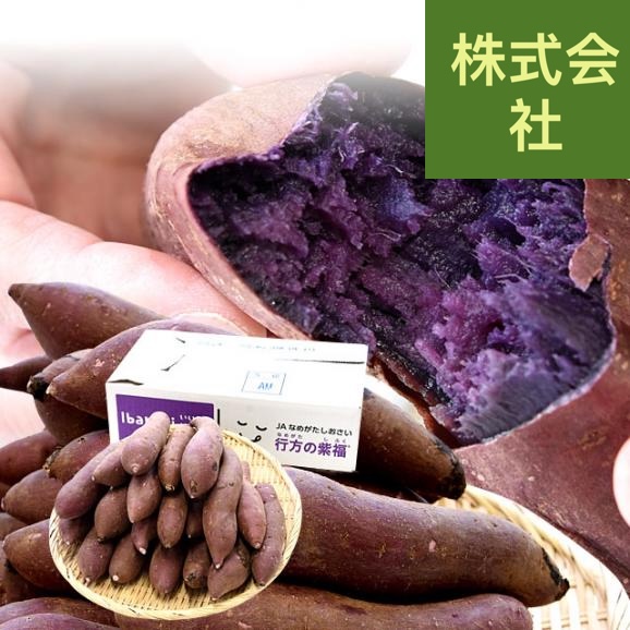 茨城県より産地直送 なめがたしおさい 行方の紫福（なめがたのしふく）品種名：ふくむらさき Mサイズ 約5キロ（18本前後） 送料無料 さつま芋 さつまいも サツマイモ 薩摩芋 紫芋 むらさき芋