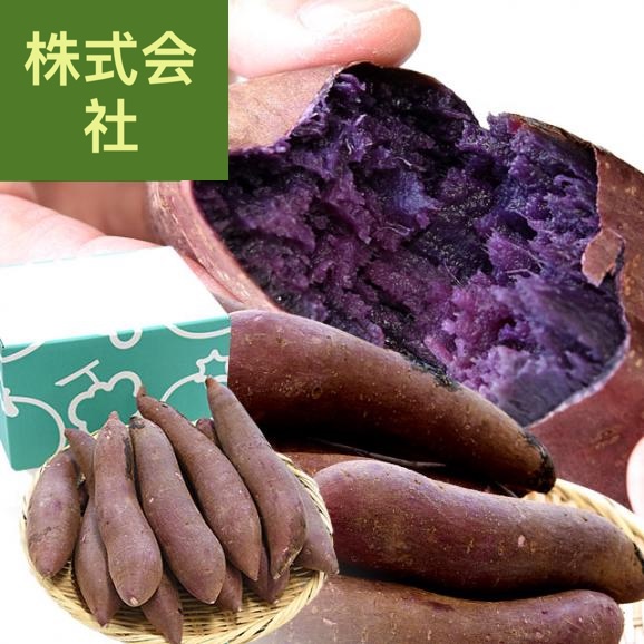 茨城県 なめがたしおさい 行方の紫福（なめがたのしふく）品種名：ふくむらさき Mサイズ 約2.5キロ（9本前後） 送料無料 さつまいも 紫芋 市場発送