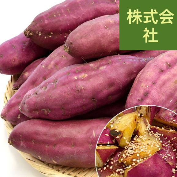 高知県産　高知県　土佐紅　A級品2Lサイズ5キロ　15本前後　送料無料　とさべに　さつまいも　サツマイモ　薩摩芋　新芋　市場発送