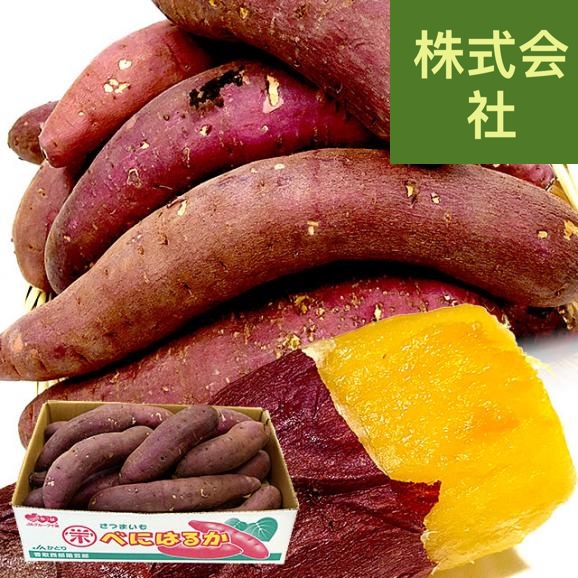 千葉県産 かとり 紅はるか BLサイズ 約5キロ 10本から13本前後（形不揃い） 送料無料 さつまいも サツマイモ 薩摩芋 新芋 市場発送