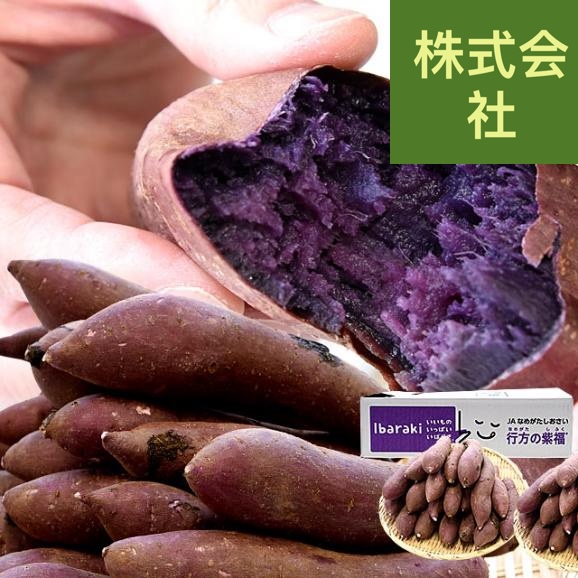 茨城県より産地直送 なめがたしおさい 行方の紫福（なめがたのしふく）品種名：ふくむらさき Ｓサイズ 約5キロ（30本前後） 送料無料 さつま芋 さつまいも サツマイモ 薩摩芋 紫芋 むらさき芋