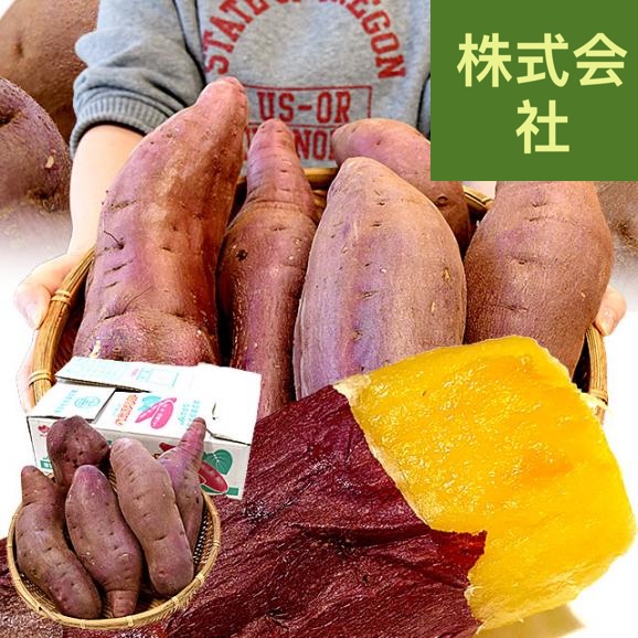 千葉県産 かとり 紅はるか B品 3Lサイズ 約5キロ(5～6本) 送料無料 さつまいも サツマイモ 薩摩芋 新芋 市場発送