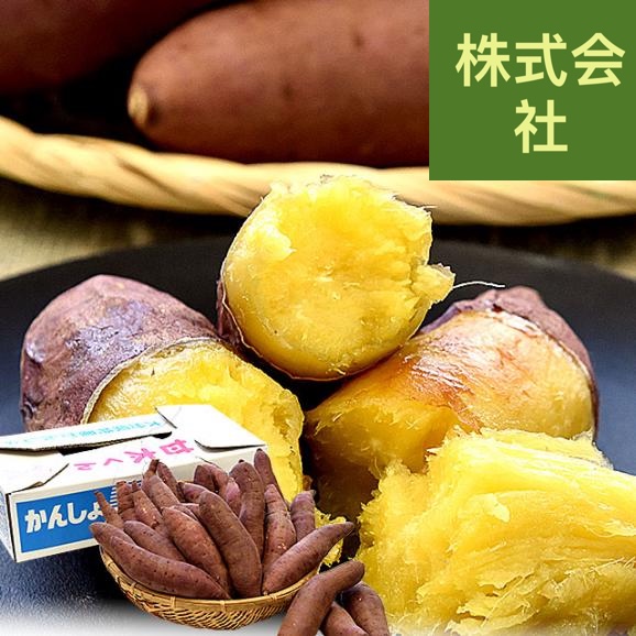 大分県産 おおいた 甘太くん Mサイズ 約5キロ（28本前後）送料無料 かんたくん サツマイモ 薩摩芋 甘藷 かんしょ 紅はるか べにはるか