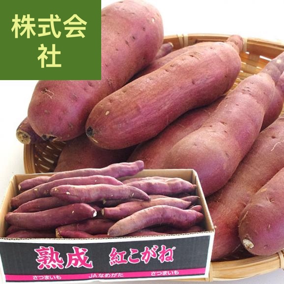 茨城県より産地直送 なめがたしおさい さつまいも「熟成紅こがね」 Sサイズ 約5キロ（25本から30本） 送料無料 行方 薩摩芋