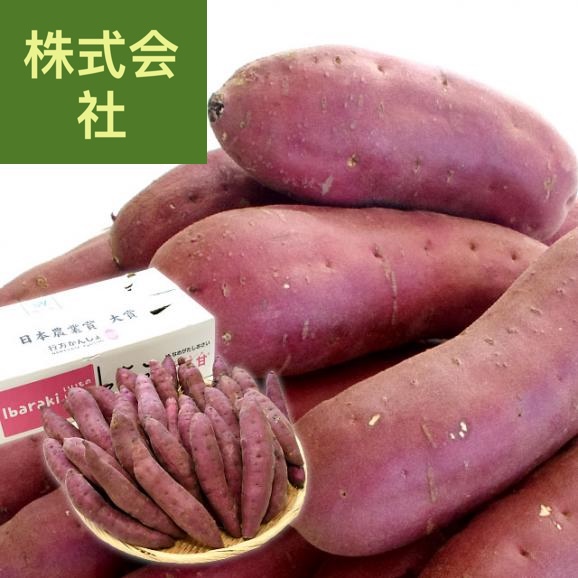 茨城県より産地直送 なめがたしおさい さつまいも「紅優甘 (べにゆうか)」 Sサイズ 5キロ(25本から30本) 送料無料 さつま芋 サツマイモ 薩摩芋