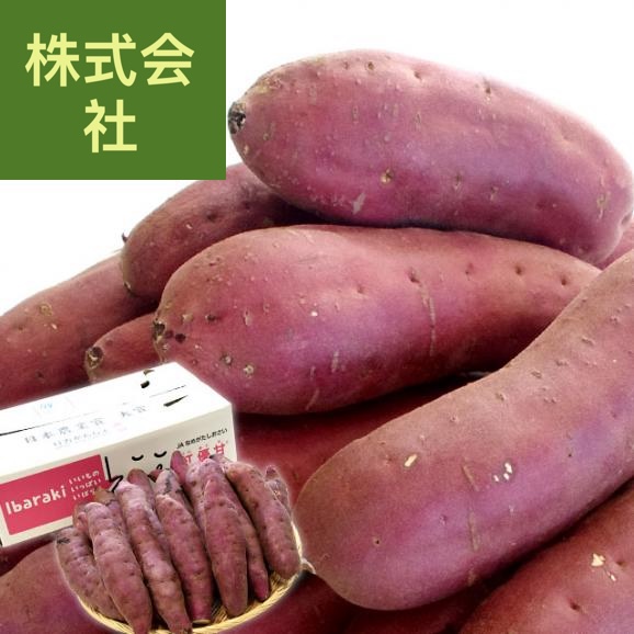茨城県より産地直送 なめがたしおさい さつまいも「紅優甘 (べにゆうか)」 Mサイズ 5キロ(18本前後) 送料無料 さつま芋 サツマイモ 薩摩芋