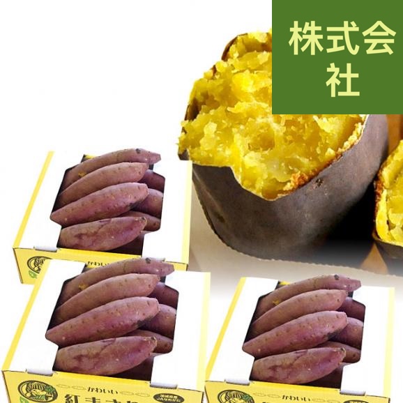 茨城県より産地直送 なめがた さつまいも「紅まさり(べにまさり)」 SからSSサイズ 約1キロ×3箱セット 送料無料 さつま芋 サツマイモ 薩摩芋
