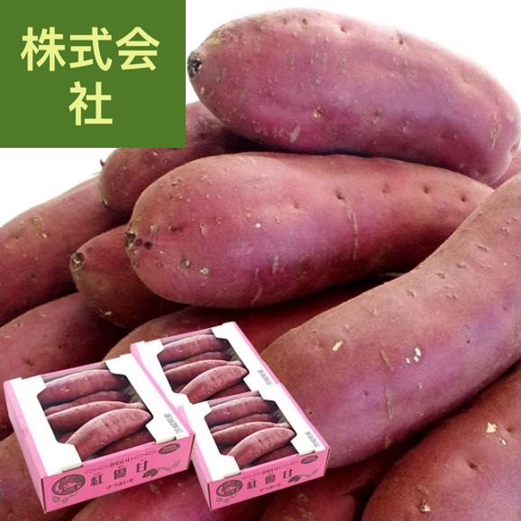 茨城県より産地直送 なめがたしおさい さつまいも「紅優甘 (べにゆうか)」 SからSSサイズ 1キロ×3箱セット 送料無料 さつま芋 サツマイモ 薩摩芋
